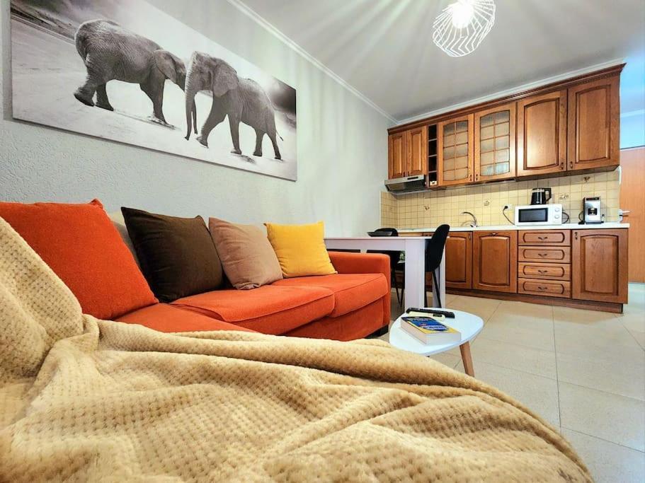 One Bd Flat Near Center With 24h Self Check In Apartment Tirana